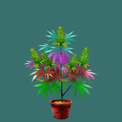 NFTokin #5789
