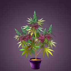 NFTokin #11711
