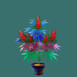 NFTokin #6843