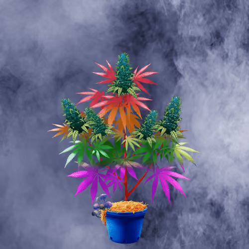 NFTokin #8026