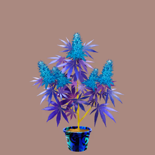 NFTokin #12124