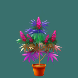NFTokin #10200