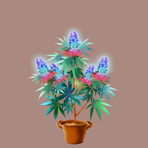 NFTokin #257