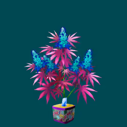 NFTokin #1020