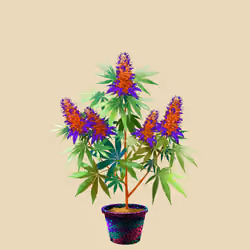NFTokin #8140