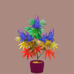 NFTokin #8179