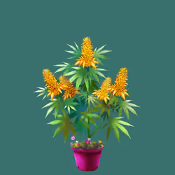 NFTokin #8593