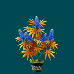 NFTokin #6180