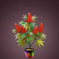 NFTokin #12849