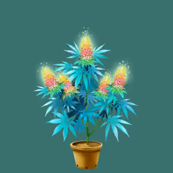 NFTokin #4303