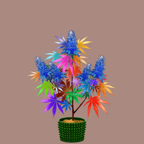 NFTokin #5095