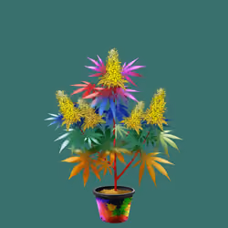 NFTokin #4002