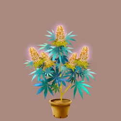 NFTokin #12415
