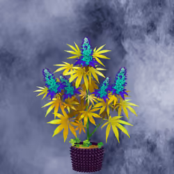 NFTokin #8642