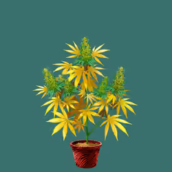 NFTokin #3256