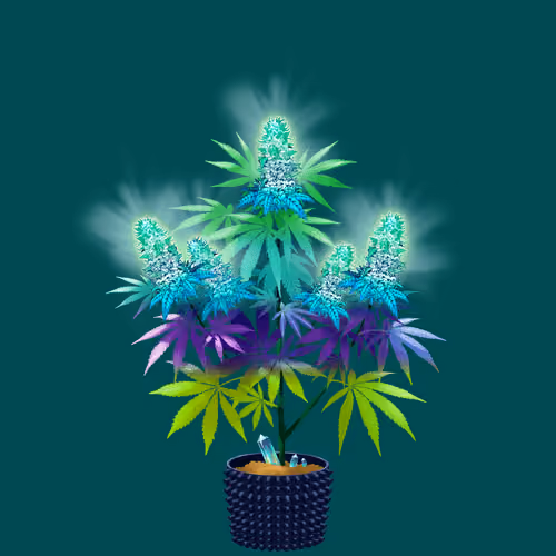 NFTokin #10031