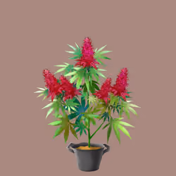 NFTokin #12472