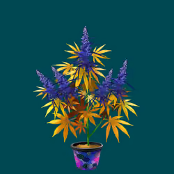 NFTokin #3971