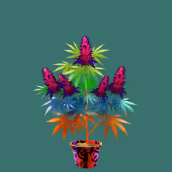 NFTokin #11810