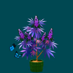 NFTokin #7322
