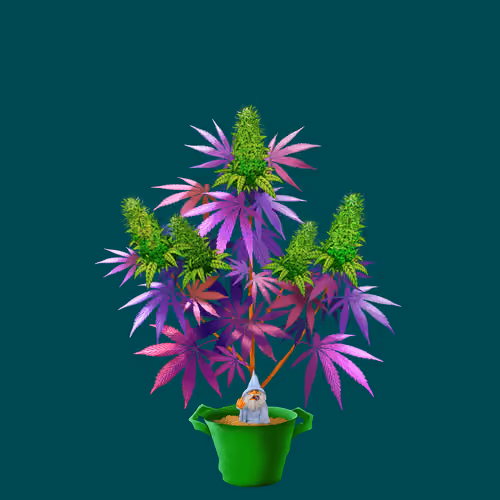 NFTokin #10168
