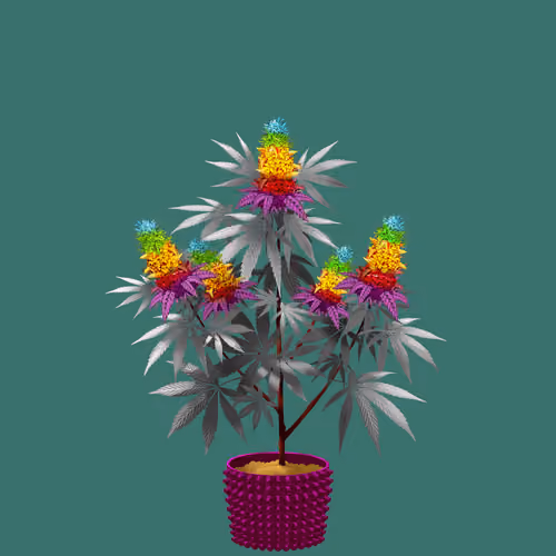 NFTokin #8316