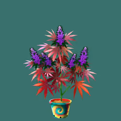 NFTokin #4170