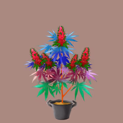 NFTokin #691