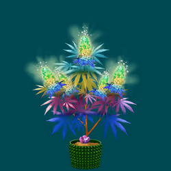 NFTokin #5922