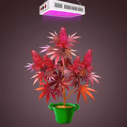 NFTokin #12875