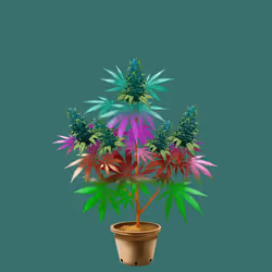 NFTokin #4285