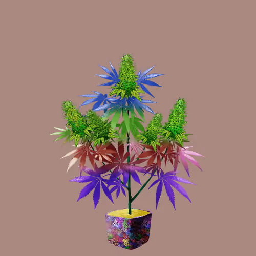 NFTokin #528