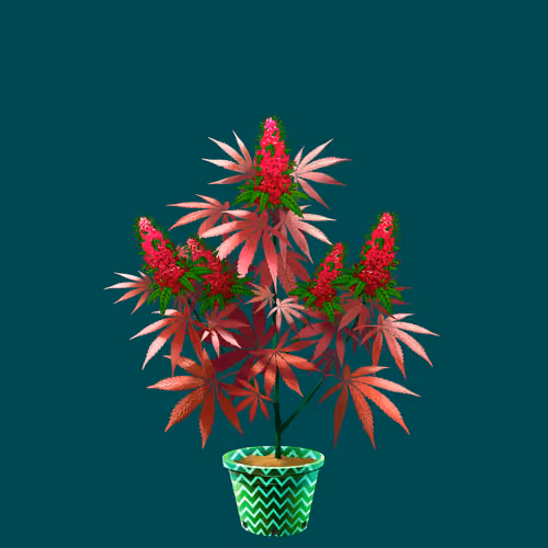 NFTokin #9322