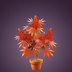 NFTokin #4869
