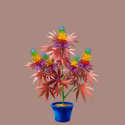 NFTokin #11324