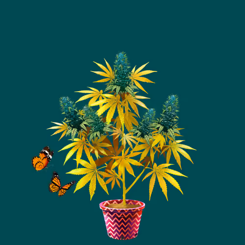 NFTokin #5766