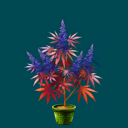 NFTokin #4323