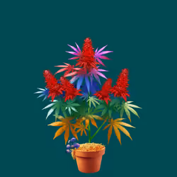 NFTokin #7083