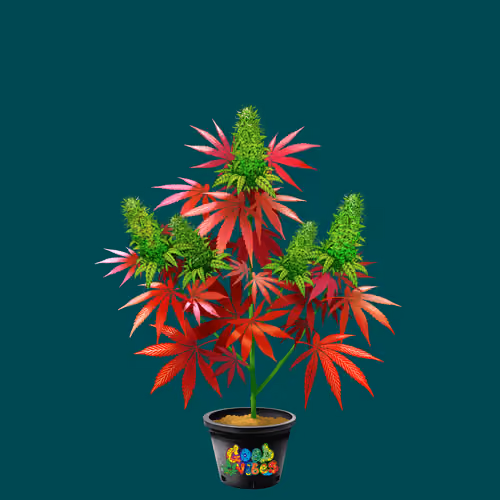 NFTokin #6873