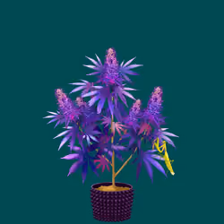 NFTokin #10982