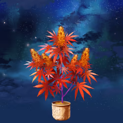 NFTokin #7277