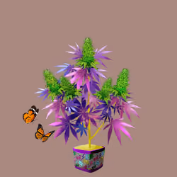 NFTokin #12142