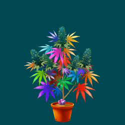 NFTokin #6468