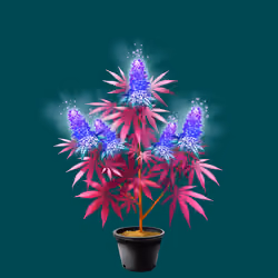 NFTokin #12041