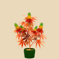 NFTokin #12411