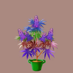 NFTokin #10851