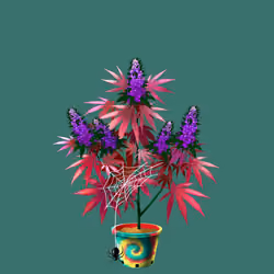 NFTokin #4716