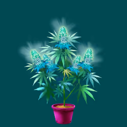 NFTokin #7799