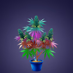 NFTokin #6229