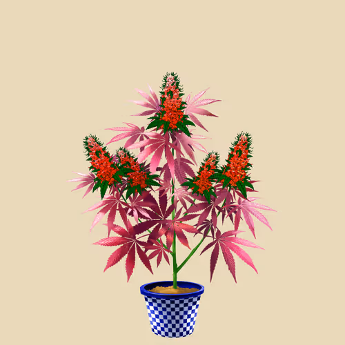 NFTokin #6250